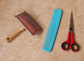 tools for grooming